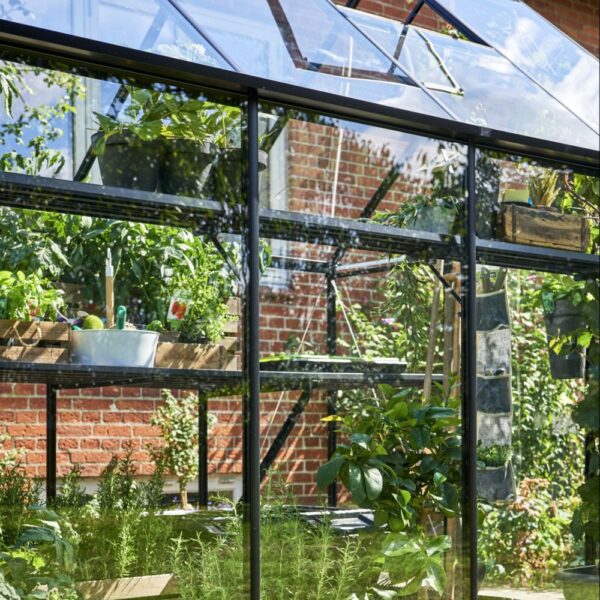 Serre en verre trempé Qube noir 6.40 m² + embase - Halls – Image 10