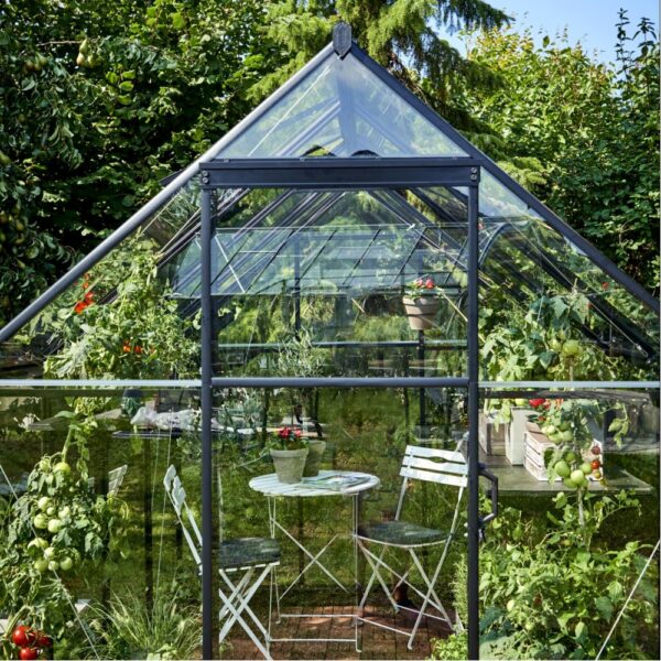 Serre en verre trempé Qube noir 6.40 m² + embase - Halls – Image 8