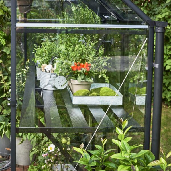 Serre en verre trempé Qube noir 6.40 m² + embase - Halls – Image 9