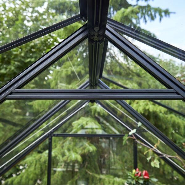 Serre en verre trempé Qube noir 6.40 m² + embase - Halls – Image 16