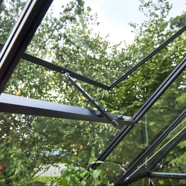 Serre en verre trempé Qube noir 6.40 m² + embase - Halls – Image 17
