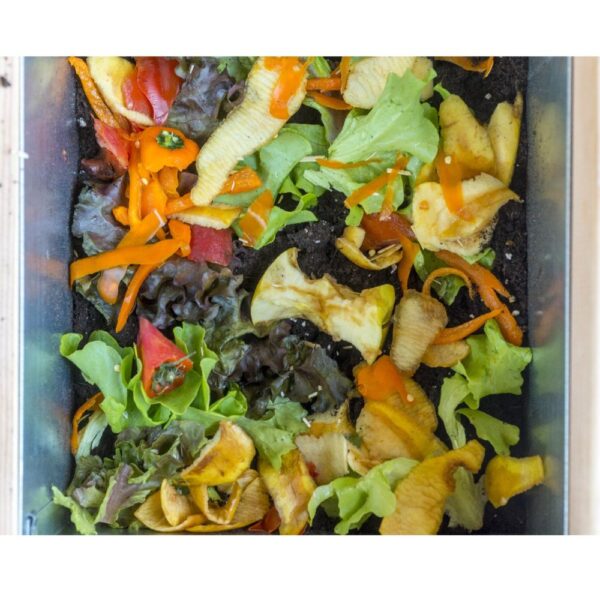 Potager en bois surélevé Balcomposteur – Image 6