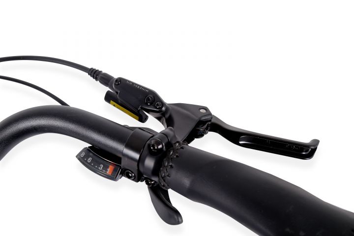 Tricycle Electrique Artemis – Image 14