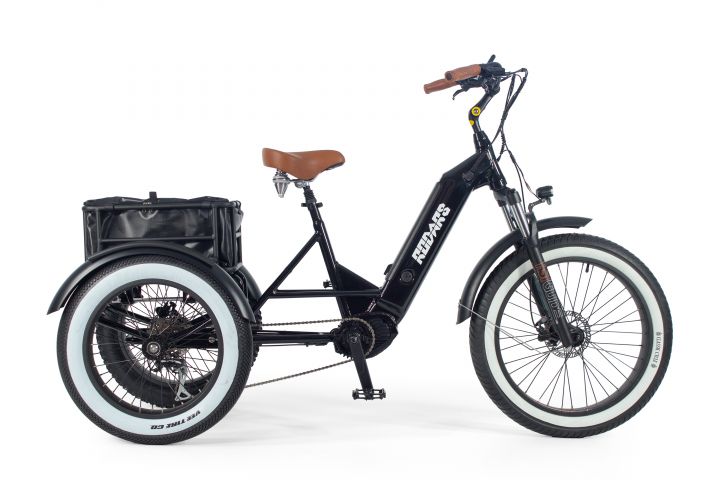 Tricycle Electrique Artemis – Image 2