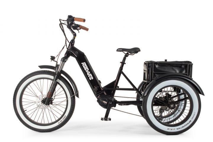 Tricycle Electrique Artemis – Image 3