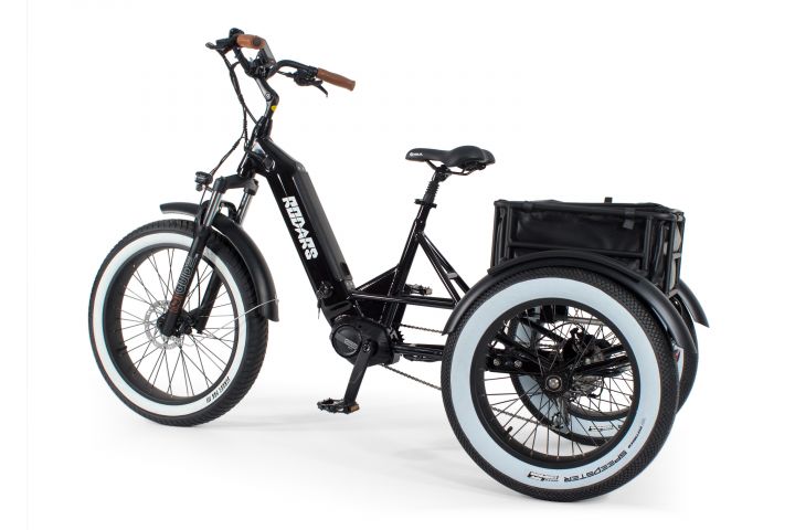 Tricycle Electrique Artemis – Image 4