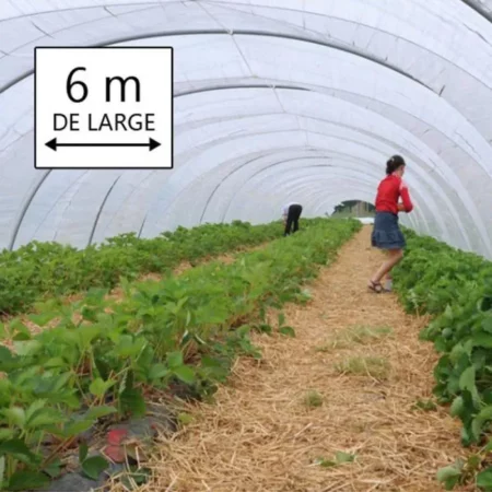 Bâche Serre 6x10 m - Translucide - Très résistante - Etanche - Anti-UV - Fabrication française