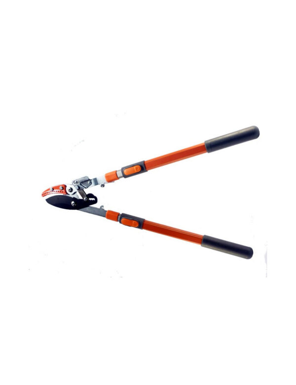 Coupe branche ébrancheur puma – Image 6