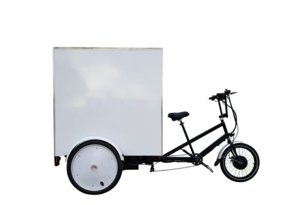 Tricycle Electrique Hercules