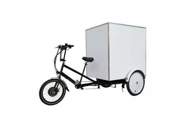 Tricycle Electrique Hercules – Image 3