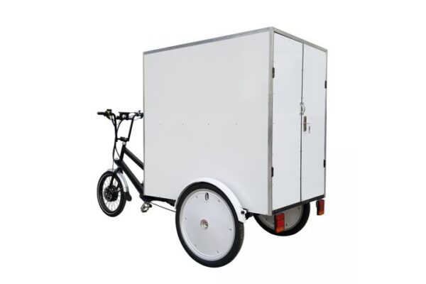 Tricycle Electrique Hercules – Image 4