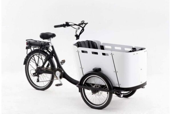 Tricycle Electrique Hermes – Image 7