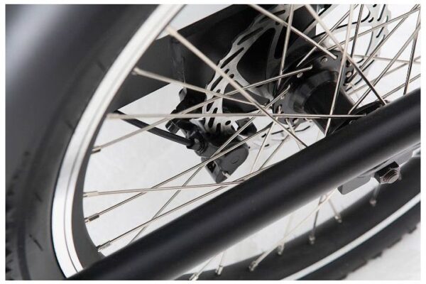 Tricycle Electrique Hermes – Image 10