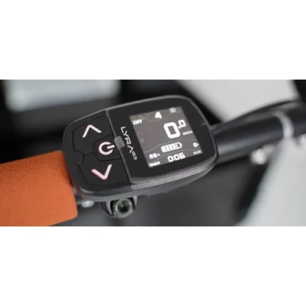 Tricycle électrique noir avec porte – Image 3