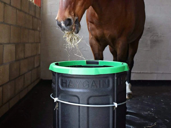 Le Pack Forager Régulateur + Le Forager de Haygain – Image 7