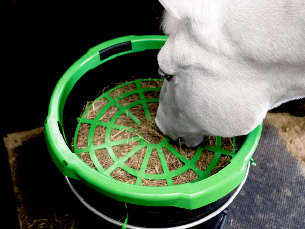 Le Pack Forager Régulateur + Le Forager de Haygain – Image 8