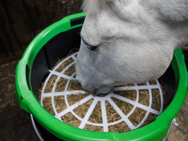 Le Pack Forager Régulateur + Le Forager de Haygain – Image 10